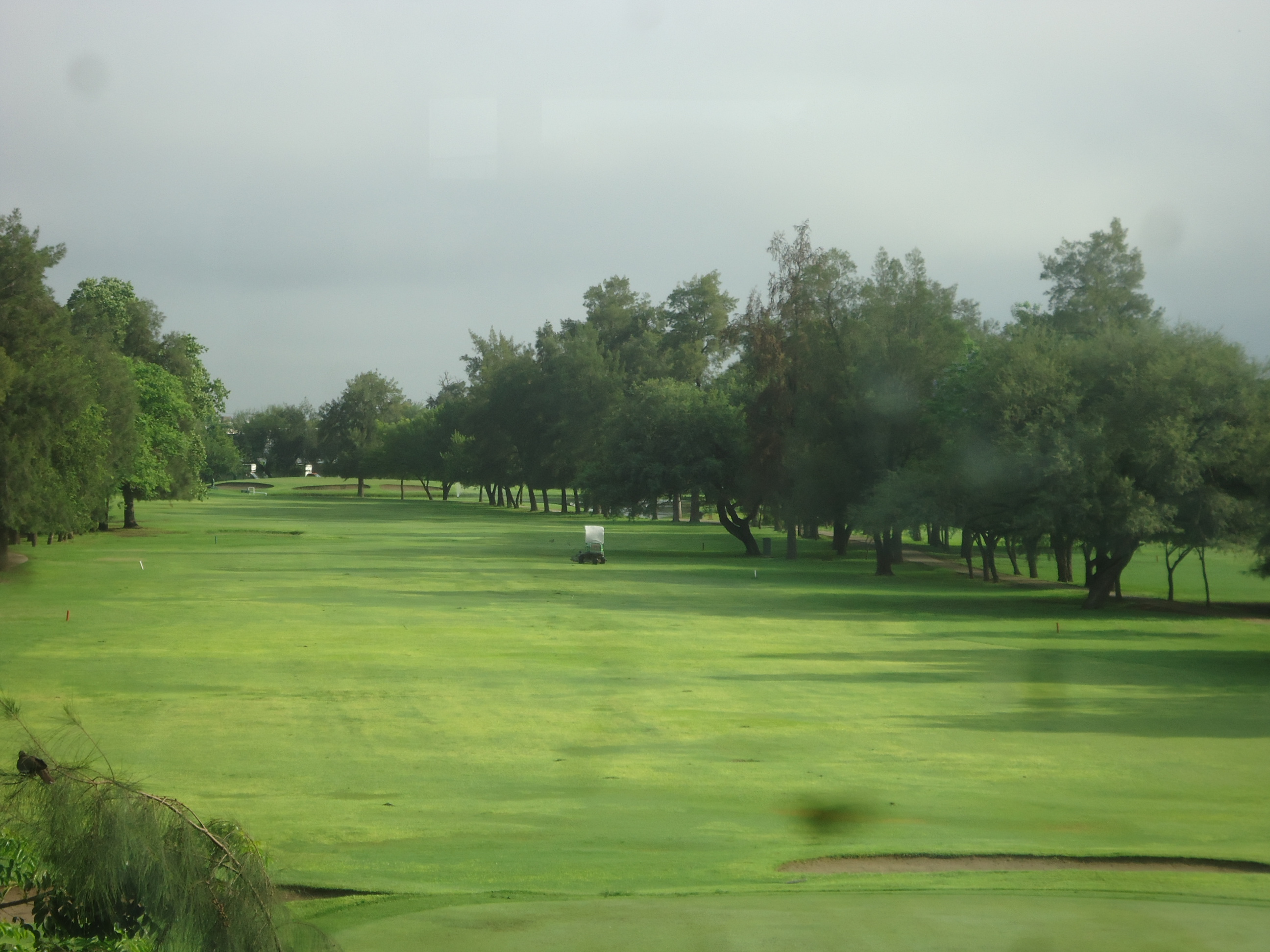 CAMPO DE GOLF